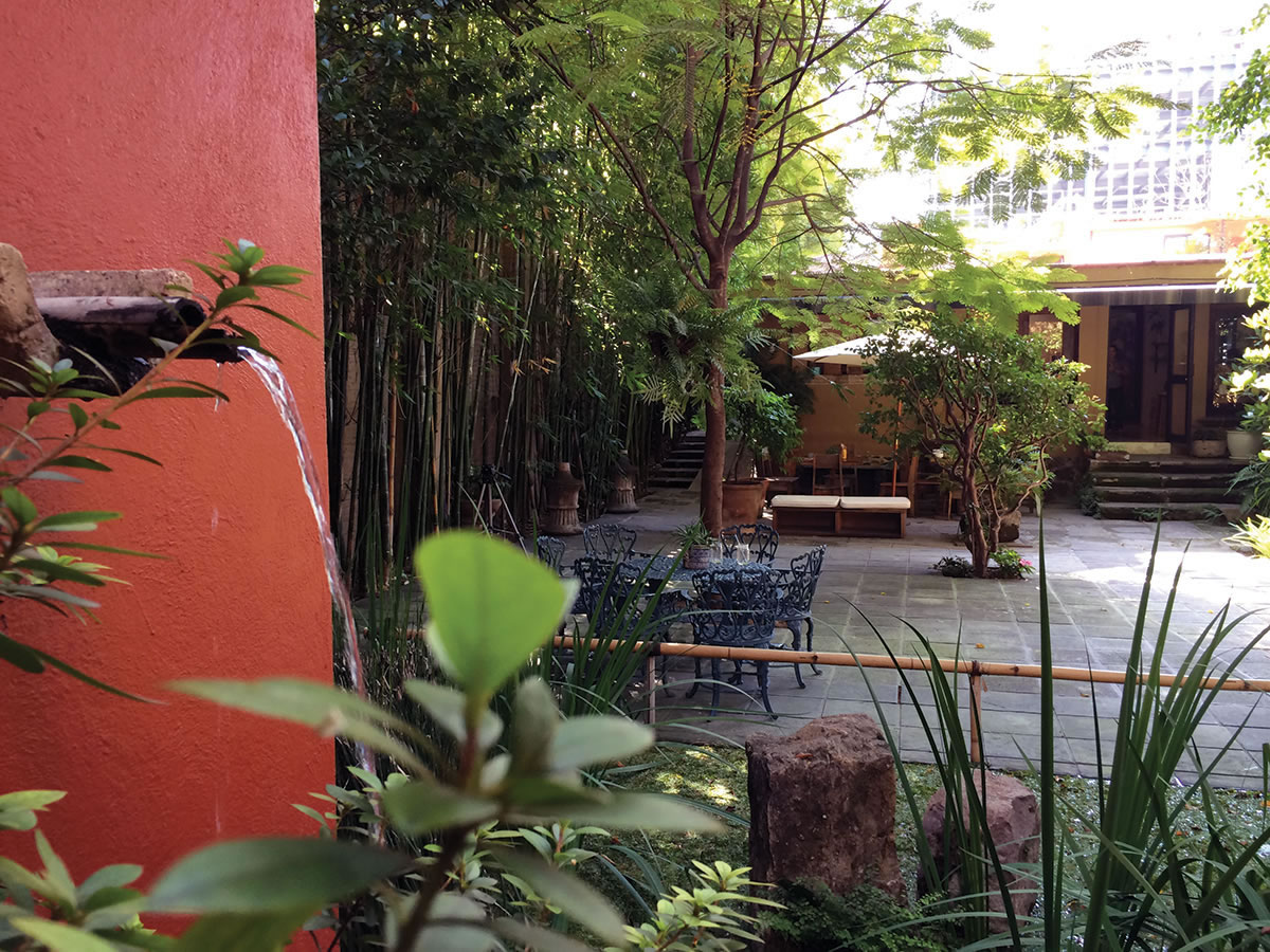 Bikram Yoga en Guadalajara, Jalisco, Mexico, Bikram Providencia